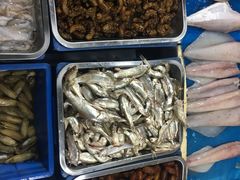 -鑫朱雀农贸批发市场