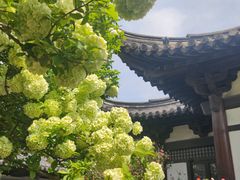 -常熟方塔园