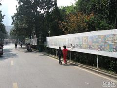 -长沙市青少年宫