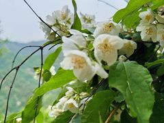 -秦岭终南山世界地质公园翠华山景区