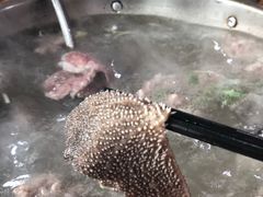 -五洞培记山庄·鲜牛肉火锅