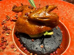 -南堂馆·新川菜(天府三街店)