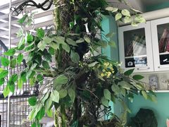 -雨林宠物医院 非犬猫异宠专科
