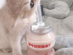 -喜茶(深圳福田星河COCO Park店)