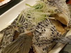 清蒸珍珠斑-宝燕海鲜(好爱店)