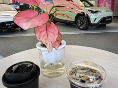 -上海浦东smart汽车全功能店(金桥店)
