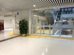 -武汉亚心总医院