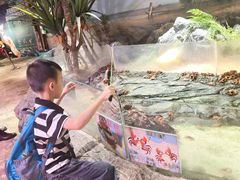 -正佳雨林生态植物园