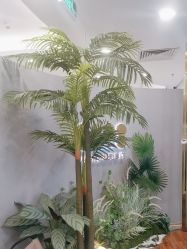 -八佰伴8008星级形象店