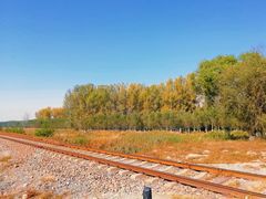 -东郊湿地公园