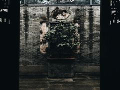 -碧江金楼