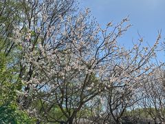 -哈尔滨北方森林动物园