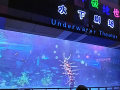 -泉城欧乐堡海洋极地世界