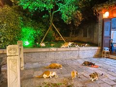 -皮五鱼汤面(老街店)