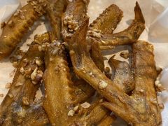 -喜上喜鸡煲翅(吉大店)