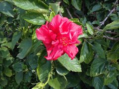 -北海金海湾红树林生态旅游区