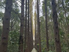-同里国家湿地公园