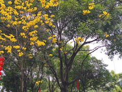 -荔湾区儿童公园