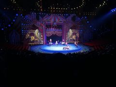 -珠海横琴长隆《卡卡虎奇遇记》