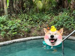 -碧桂园润杨溪谷温泉酒店