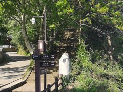 -老字号怡玺·藿香雅鱼(20年雅安店)