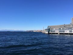 -The Crab Pot Seattle