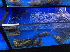 -旺豪海鲜餐厅(友谊阳光城店)