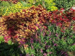 -国家植物园南园