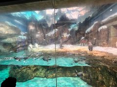 -哈尔滨波塞冬海底世界