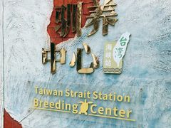 -广东惠东海龟国家级自然保护区