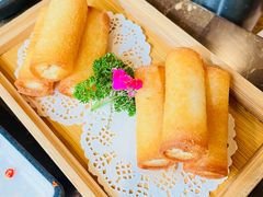 -同仁四季椰子鸡(罗湖国贸店)
