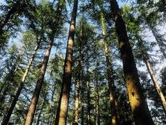 -洛阳白云山景区