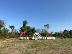 -漩门湾国家湿地公园