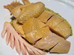 -子福慧(虹桥店)