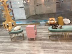 -BABIT巴比特宠物(MOMOPARK店)