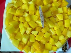 -可丽可丽·生日蛋糕·下午茶