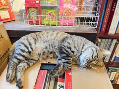 -正阳书局(西四南大街店)