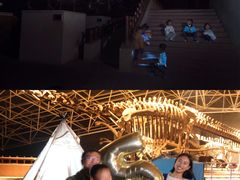 -世界恐龙谷景区