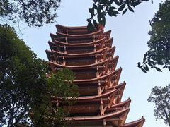 -缙云山景区