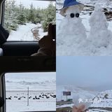 西北大环线｜你总要去远方看一看⛰️