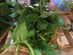 -草墩罗非鱼庄•野生菌•腊排骨(七星街上段店)