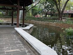 -九龙公园