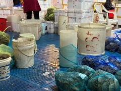 -新农都水产市场