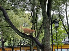 -西园戒幢律寺
