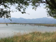 -野鸭湖国家湿地公园