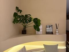 -OMSPA(盛景尚峰店)