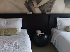 -国家会议中心大酒店