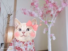 -柴犬小屋·柴餐厅·狗咖食堂(金鼎广场店)