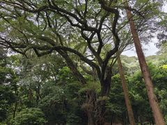 -南华禅寺