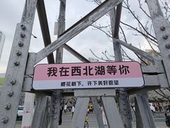 -西北湖绿化广场